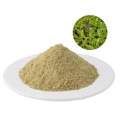 forskolin 40% 98% bulk forskolin powder